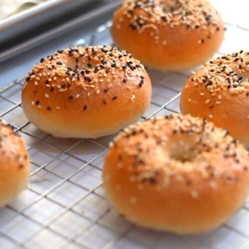 Easy Bagel Recipe :Best Recipe for Homemade Bagels | MerryBoosters