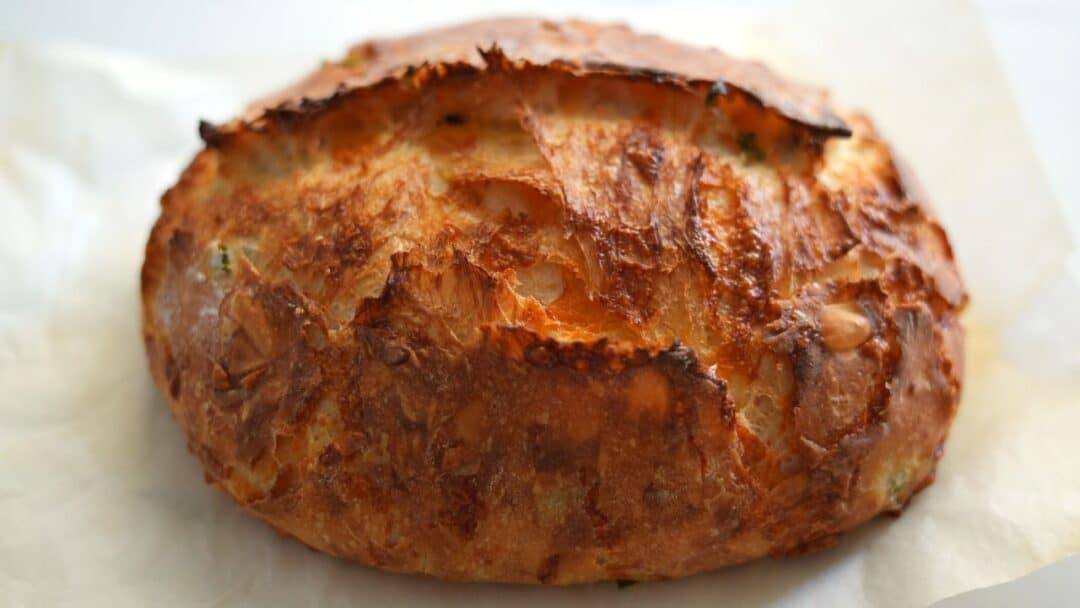 No Knead Jalapeno Cheddar Bread Recipe MerryBoosters