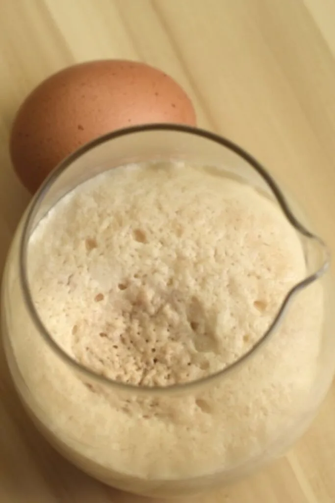 Bubbly active yeast for dough rising