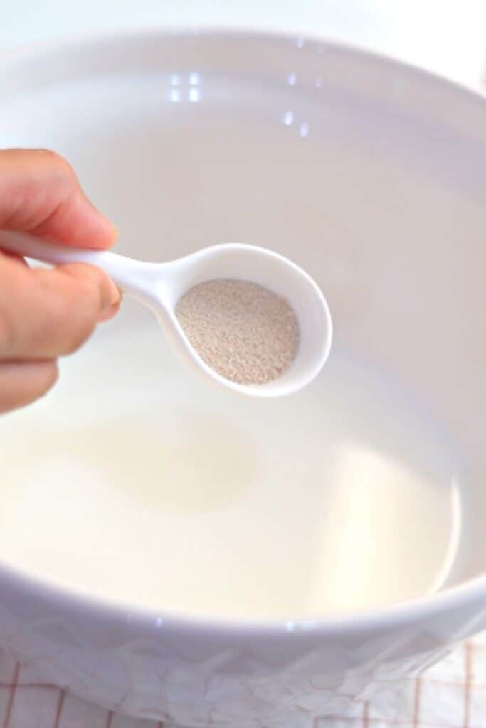 Fresh  and active yeast help the dough to rise