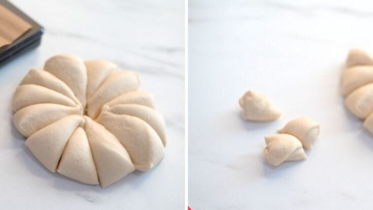 Old Fashioned Cloverleaf Rolls Recipe | MerryBoosters