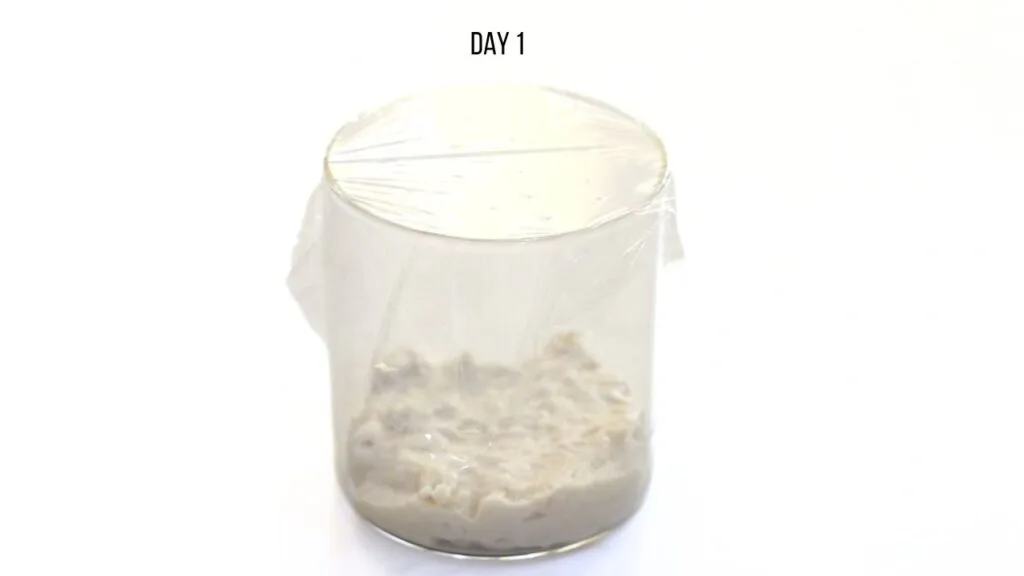 easy sourdough starter recipe