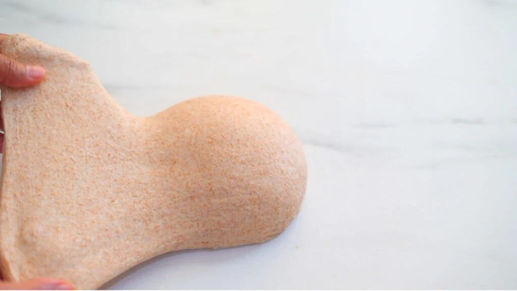 whole wheat panini bread dough